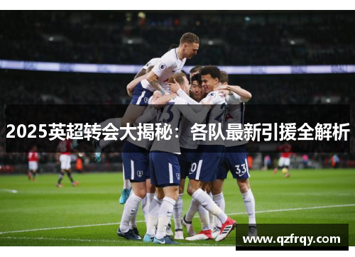 2025英超转会大揭秘：各队最新引援全解析